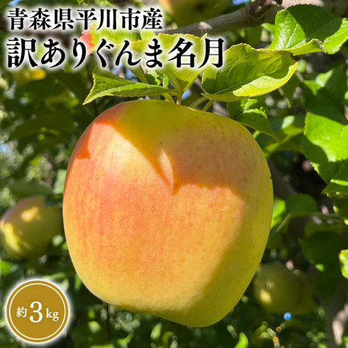 10月下旬～発送　 訳あり ぐんま名月約3kg(家庭用)【なるみ農園・青森りんご・平川市産・数量限定】 2041242 - 青森県平川市
