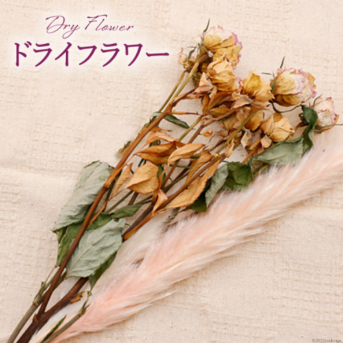 ドライフラワー ブーケ 1束 [池川生花店 北海道 砂川市 12260335] スワッグ 花 おしゃれ 花束 インテリア 雑貨 装飾 飾り アンティーク 204124 - 北海道砂川市
