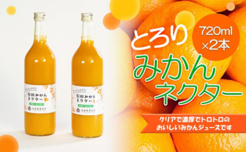 とろり　みかんネクター720ml×2本［IKE225］ 204249 - 和歌山県上富田町