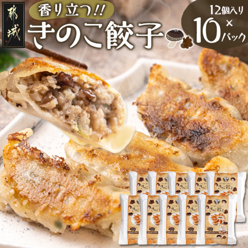 香り立つ!!「きのこ餃子」120個_16-8701 2042566 - 宮崎県都城市