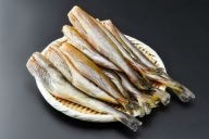 網走前浜産 天日生干し氷下魚（コマイ）【1.5kg（500g×3）】 魚 北海道
