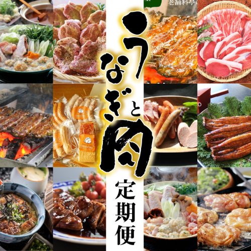 【全12回】厳選！うなぎとお肉の定期便(毎月お届け）　H028-076 204264 - 愛知県碧南市