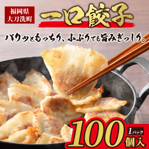 大刀洗 一口餃子 100個 特製たれ セット【ふるさと納税限定】 餃子 2042703 - 福岡県大刀洗町