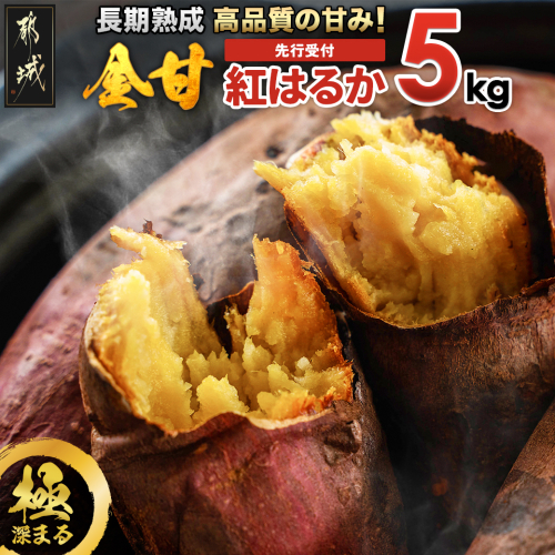 【先行受付】都城産 長期熟成紅はるか 5kg≪2025年10月下旬頃より順次お届け≫_AA-I202-10 204309 - 宮崎県都城市
