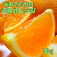 【2023年3月上旬～発送】有田育ちの清見オレンジ(ご家庭用)　約2.5kg【ard016】