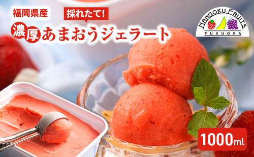 ジェラート 採れたて!福岡産 濃厚あまおうジェラート 1000ml 濃厚 苺 いちご あまおう ストロベリー ※配送不可:離島 2043130 - 福岡県大刀洗町
