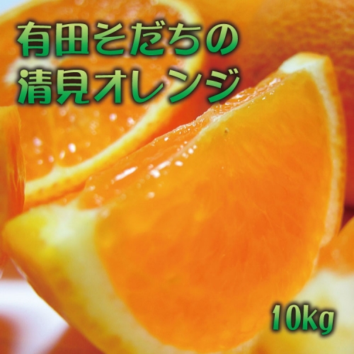 【2023年3月上旬～発送】有田育ちの清見オレンジ(ご家庭用)　約10kg【ard019】