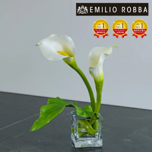 アートフラワー エミリオ・ロバ カラーM TTNTS40120 2043309 - 三重県名張市