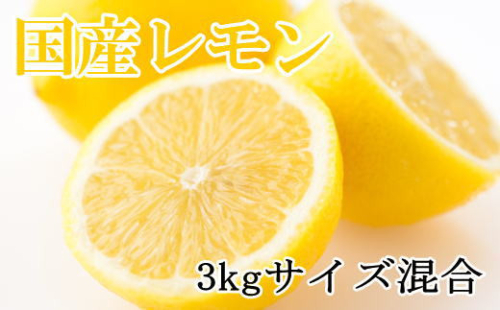 【産直】和歌山産レモン約3kg（サイズ混合）★2026年3月中旬頃より順次発送【TM150】 204331 - 和歌山県那智勝浦町