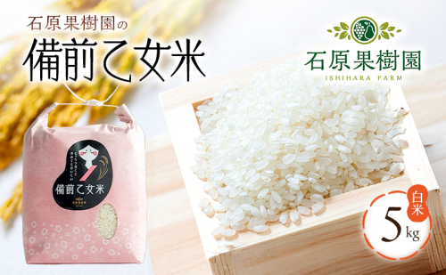 米 令和7年産 石原果樹園の備前乙女米 白米 5kg×1袋 ※11月上旬～順次発送予定 お米 精米 白米 ライス  乳酸菌栽培 岡山県 おにぎり お弁当 2045354 - 岡山県玉野市