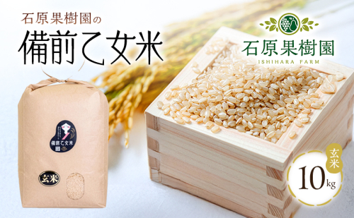 米 令和7年産 石原果樹園の備前乙女米 玄米 10kg×1袋 ※11月上旬～順次発送予定 ライス  お米 ライス  乳酸菌栽培 岡山県 おにぎり お弁当 2045355 - 岡山県玉野市