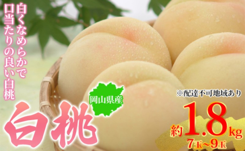 桃 2025年先行予約 岡山県産 白桃 約1.8kg 7～9玉 お届け 7月上旬～7月下旬 2045361 - 岡山県玉野市