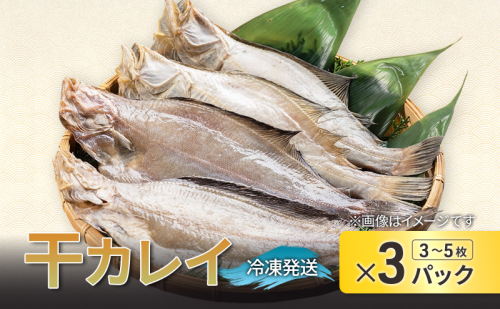 干カレイ 3~5枚入り×3パック 魚介 魚介類 海の幸 魚 カレイ 水がれい(ムシガレイ) 2045371 - 宮城県亘理町