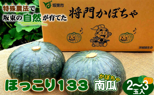 No.842 特殊農法で坂東の自然が育てた「ほっこり133南瓜」2～3玉入 ／ かぼちゃ カボチャ ホクホク 甘味 品質 糖度 野菜 茨城県 特産品 2045389 - 茨城県坂東市