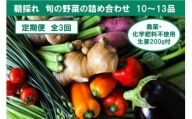 【定期便3回】旬の野菜の詰め合わせと農薬不使用の生姜200g付き