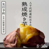 11月以降順次発送【無添加 和モダンスイーツ】【oimo_tokyo】熟成焼き芋（八千代町産紅はるか）2kg(200g～300g×8本～10本) 国産 冷蔵 冷やし やきいも さつまいも [BY002ya]