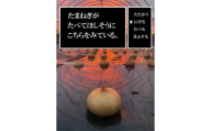 [15-84]規格外の問題児！農家ヒライが生み出してしまった『悪魔的タマネギ』