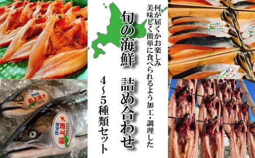 北海道産 旬のお魚 4～5種 お楽しみ詰め合わせ セット 204616 - 北海道新ひだか町