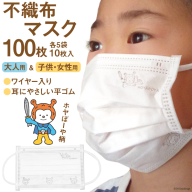 【ホヤぼーやマスク】 不織布マスク 大人用 女性用 子供用 計100枚 10枚入 ×各5袋 [気仙沼市物産振興協会 宮城県 気仙沼市 20565246] マスク 不織布 ワイヤー入り 小さめ 子ども キッズ キャラクター