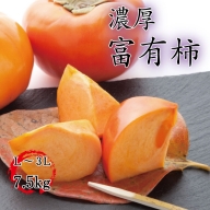 【秋の美味】【和歌山ブランド】濃厚!富有柿　秀品　L～3Lサイズ(約7.5kg入り)【ard014】