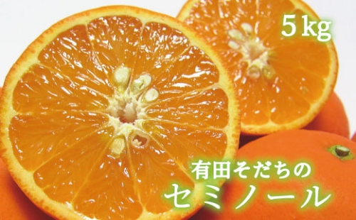 【2023年4月発送】有田育ちの爽快セミノールオレンジ(ご家庭用)　約5kg【ard025】