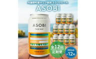 ＜毎月定期便＞＜与謝野町産ホップ使用クラフトビール＞ ASOBI　350ml ×12本セット全12回【4058787】