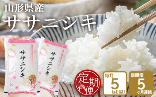 SD0053 【5回定期便】令和4年産 ササニシキ 5kg×5回(計25kg) JS 204750 - 山形県酒田市