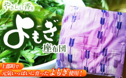 自然豊かな兵庫県上郡町で薬草栽培をしています。よもぎは身近な野草ですが、その効能は驚くほどパワーに溢れていて、様々な分野で活用されています。きれいな水と空気の中で元気いっぱいに育ったよもぎをふんだんに