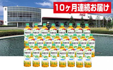 【10ヶ月連続お届け】蔵王工場直送 爽健美茶600ml×24本 2047752 - 宮城県蔵王町