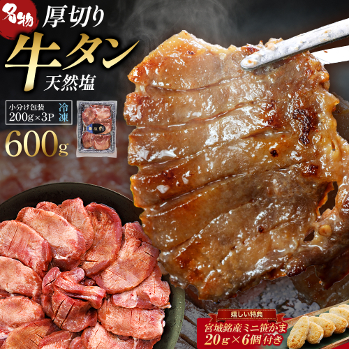 蔵王福膳・柔らか牛タン(塩) 600g・笹かま付き　牛たん 牛タン 仙台名物 厚切り 蔵王 人気【04301-0566】 2047770 - 宮城県蔵王町