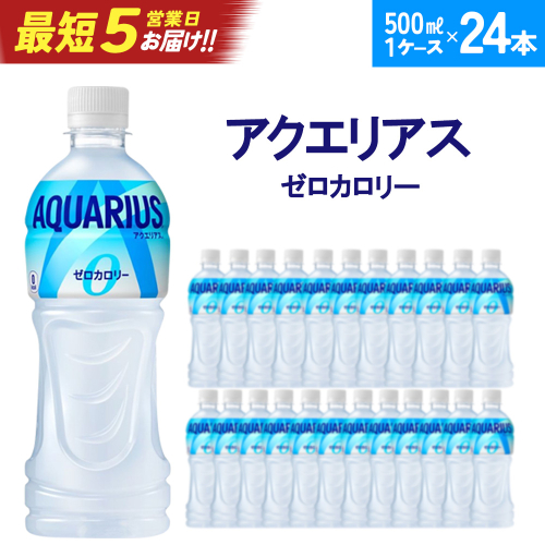 【最短5営業日着！】アクエリアスZERO 500ml PET×24本　【04301-0532】 2047807 - 宮城県蔵王町