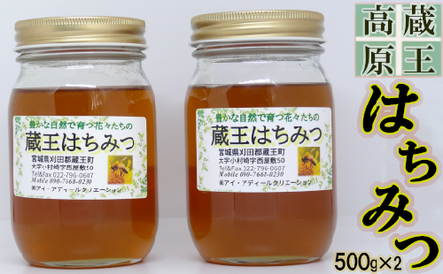 蔵王高原はちみつ詰合せ 500g×2本 【04301-0286】 2047852 - 宮城県蔵王町