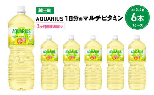 【3か月連続お届け】アクエリアス1日分のマルチビタミン 2L PET×6本 【04301-0679】 2047990 - 宮城県蔵王町