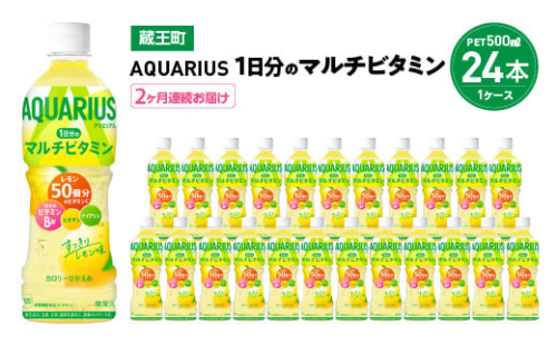 【2か月連続お届け】アクエリアス1日分のマルチビタミン 500ml PET×24本 【04301-0684】 2047995 - 宮城県蔵王町