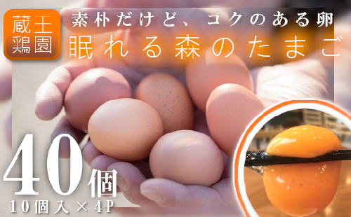眠れる森のたまご 朝採れ卵40個 たまご タマゴ 卵 鶏卵 濃厚 こだわり 新鮮 【04301-0324】 2048040 - 宮城県蔵王町