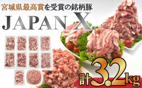 ＜蔵王町産＞JAPAN X　豚肉バラエティセット 3.2kg  　豚肉 豚 ブランド豚 小分け 豚小間 豚こま ひき肉 切落し 豚バラ 豚ロース ジャパンエックス 蔵王 人気 　【04301-0366】 2048094 - 宮城県蔵王町