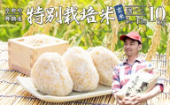 【令和7年度産 新米 先行予約】 棚田米 玄米 10kg コシヒカリ 特別栽培米 京都産 農家直送 こしひかり 減農薬 低農薬 げんまい お米 ご飯 米 棚田 健康