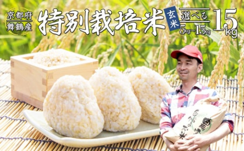【令和7年度産 新米 先行予約】 棚田米 玄米 15kg コシヒカリ 特別栽培米 京都産 農家直送 こしひかり 減農薬 低農薬 げんまい お米 ご飯 米 棚田 健康 2048612 - 京都府舞鶴市