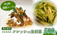 フレッシュ 金針菜 500g 多治見市 / 諏訪農林 国産 中華 料理 [TDO009]