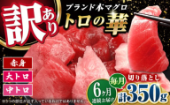【全6回定期便】訳あり！対馬産 本マグロ 切り落とし 350g（5パック） ≪対馬市≫【桐谷商店】 トロの華 冷凍 新鮮 海鮮 小分け マグロ [WAQ021]