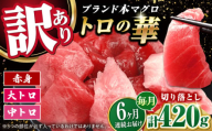 【全6回定期便】訳あり！対馬産 本マグロ 切り落とし 420g（6パック） ≪対馬市≫【桐谷商店】 トロの華 冷凍 新鮮 海鮮 小分け マグロ [WAQ025]