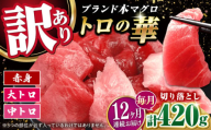 【全12回定期便】訳あり！対馬産 本マグロ 切り落とし 420g（6パック） ≪対馬市≫【桐谷商店】 トロの華 冷凍 新鮮 海鮮 小分け マグロ [WAQ026]