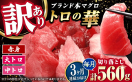 【全3回定期便】訳あり！対馬産 本マグロ 切り落とし 560g（8パック） ≪対馬市≫【桐谷商店】 トロの華 冷凍 新鮮 海鮮 小分け マグロ [WAQ032]