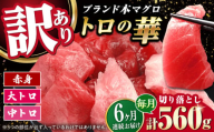 【全6回定期便】訳あり！対馬産 本マグロ 切り落とし 560g（8パック） ≪対馬市≫【桐谷商店】 トロの華 冷凍 新鮮 海鮮 小分け マグロ [WAQ033]