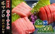 【全3回定期便】対馬産 本マグロ 500g（赤身300g、中トロ200g） ≪対馬市≫【桐谷商店】 トロの華 対馬 新鮮 マグロ トロ 鮪 刺身 鮮度抜群 [WAQ044]