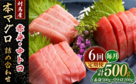 【全6回定期便】対馬産 本マグロ 500g（赤身300g、中トロ200g） ≪対馬市≫【桐谷商店】 トロの華 対馬 新鮮 マグロ トロ 鮪 刺身 鮮度抜群 [WAQ045]