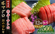 【全12回定期便】対馬産 本マグロ 500g（赤身300g、中トロ200g） ≪対馬市≫【桐谷商店】 トロの華 対馬 新鮮 マグロ トロ 鮪 刺身 鮮度抜群 [WAQ046]