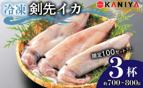 【 100セット 限定 】【 寄附金額変更中 】 イカ 剣先イカ 約 700g ~ 800g 冷凍 いか 3杯 お刺身用 生食可能 ケンサキイカ おいしい 剣先いか 急速  冷凍 直送 CAS凍結 イカ 新鮮 海産物 山口県産 ご飯 蟹屋 KNY-KE01-sp 下関 山口 【 14営業日以内発送 】