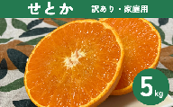 せとか（施設・露地）5kg  ご家庭用 訳あり レッスルファーム みかん 愛媛【2026年1月下旬順次発送】先行予約 数量限定 おすすめ 美味しい おいしい グルメ フルーツ くだもの 愛媛県産 人気 柑橘 伊予市｜B420