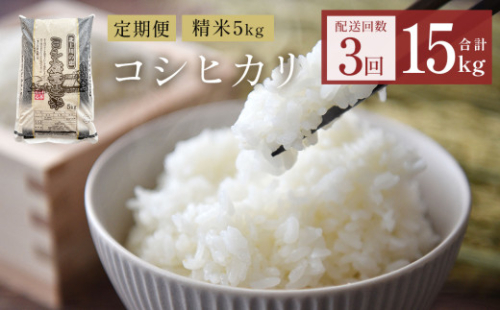 【定期便3回】令和7年産 コシヒカリ 精米 15kg (5kg×3) こめ コメ お米 ご飯 白米 こしひかり 定期便 3回 2051504 - 宮城県石巻市